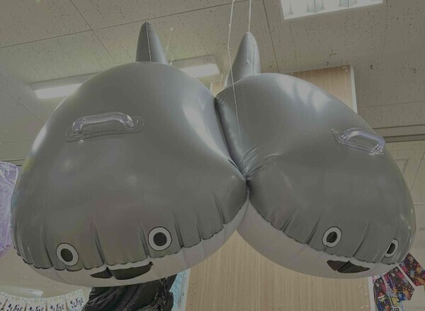 予定はないけど