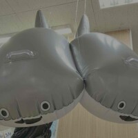予定はないけど