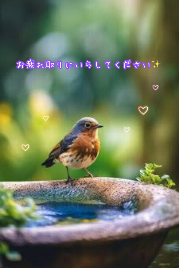 少し寒い？