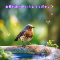 少し寒い？