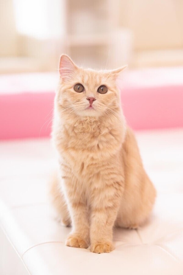 ハートフルな月曜日…💖