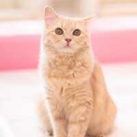 ハートフルな月曜日…💖