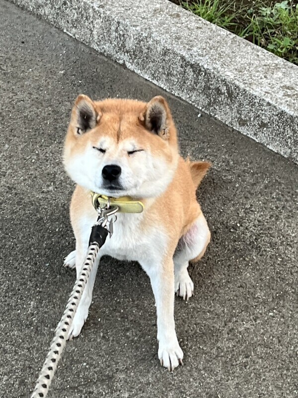 おはようございます☀️