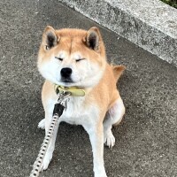 おはようございます☀️