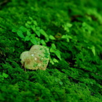 おはようございます♪
