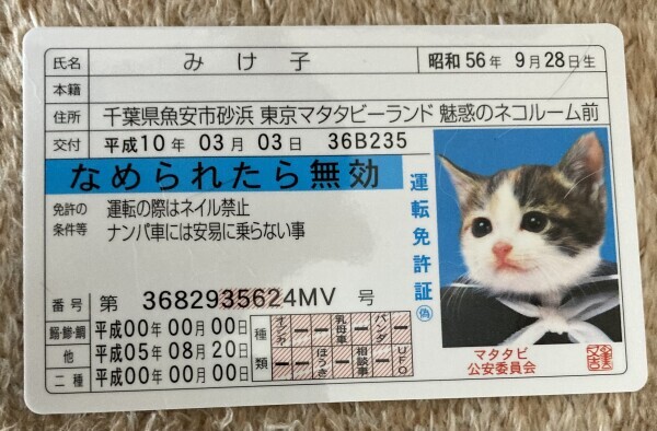風つよ〜