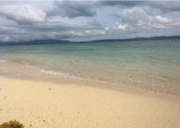 おはにょ😸🤍