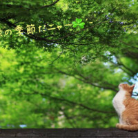 パーソナルカラー✨️