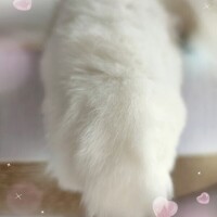 こんばんは🌛