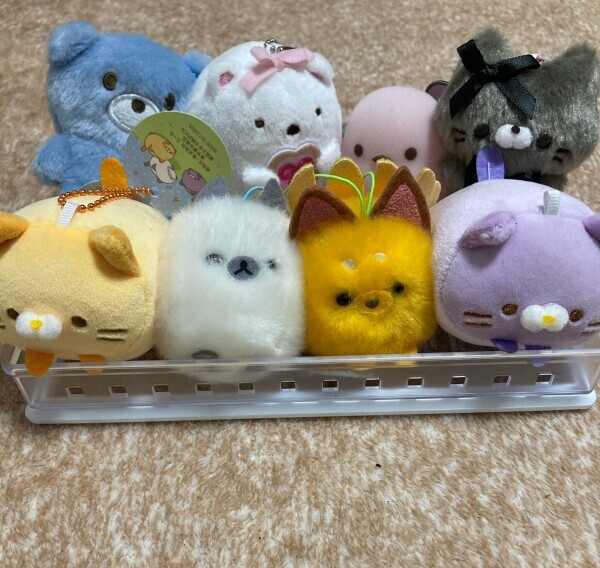 こんばんは