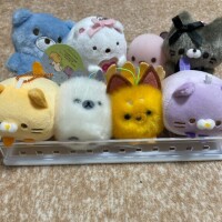 こんばんは