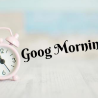 Good morning♪