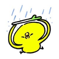 雨降ってきたのか
