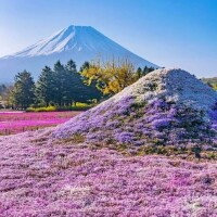 成海