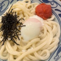 今日の格言