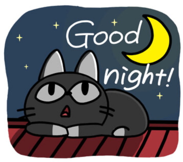 おやすみなさい🌙
