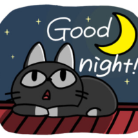 おやすみなさい🌙