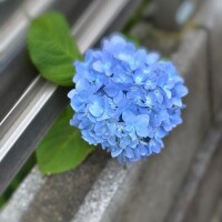6月🍀
