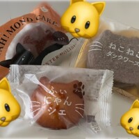 ねこねこ