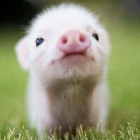 おはようございます😊