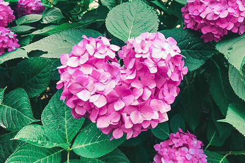 おはようございます🌱