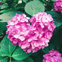 おはようございます🌱