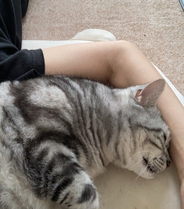 こんばんは