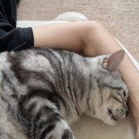 こんばんは