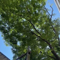 おはようございます（＾ω＾）