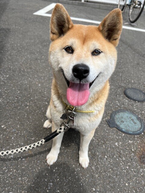 出勤しました♡