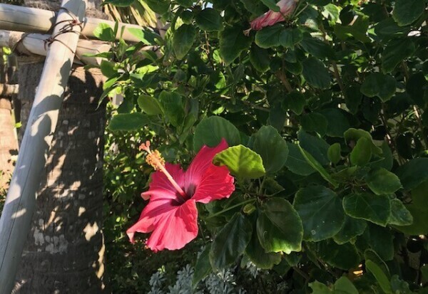 おはようございます