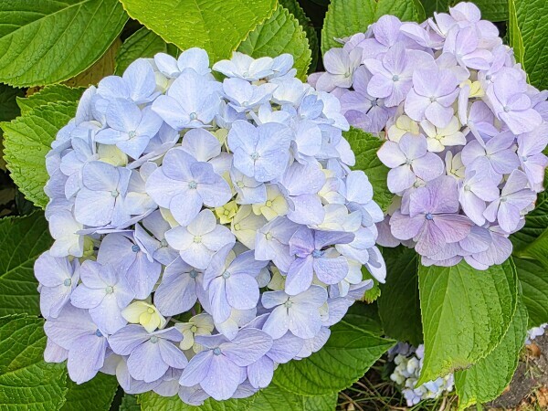 こんにちは☺️