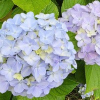 こんにちは☺️