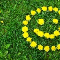 ありがとうございまーす♡♡