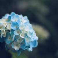 終わったんかーい