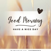 おはようございます☀️🌱