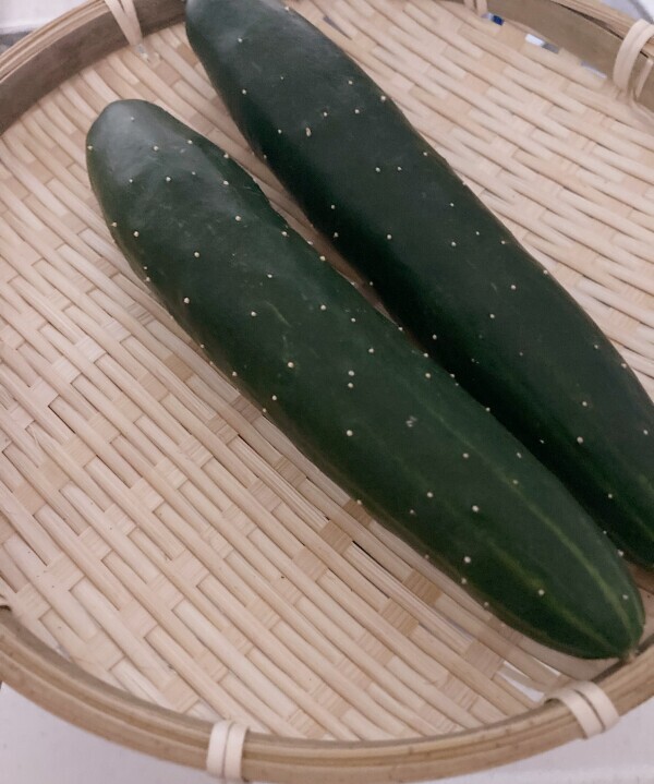 おはようございます