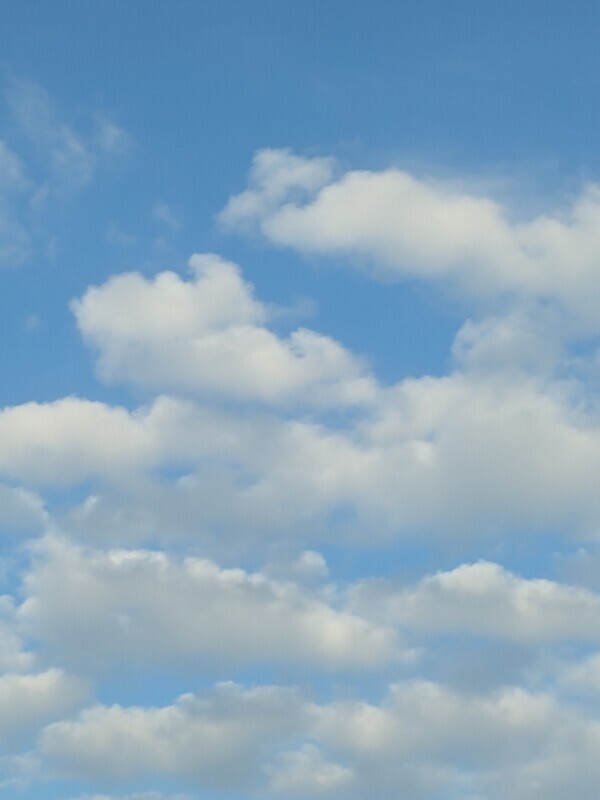 ありがとうございました💖