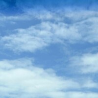 おはようございます☀️