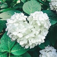 おはようございます☀️