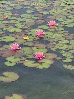 心から感謝します💖