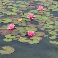 心から感謝します💖