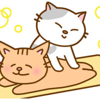 おはよー