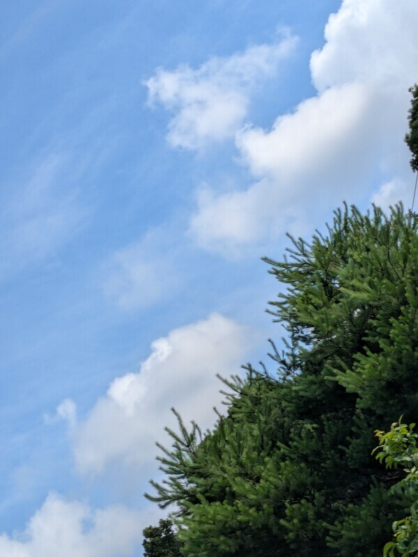 おはようございます☀️🌱