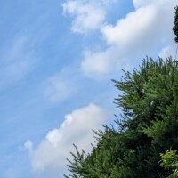 おはようございます☀️🌱