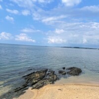穏やかな日曜日
