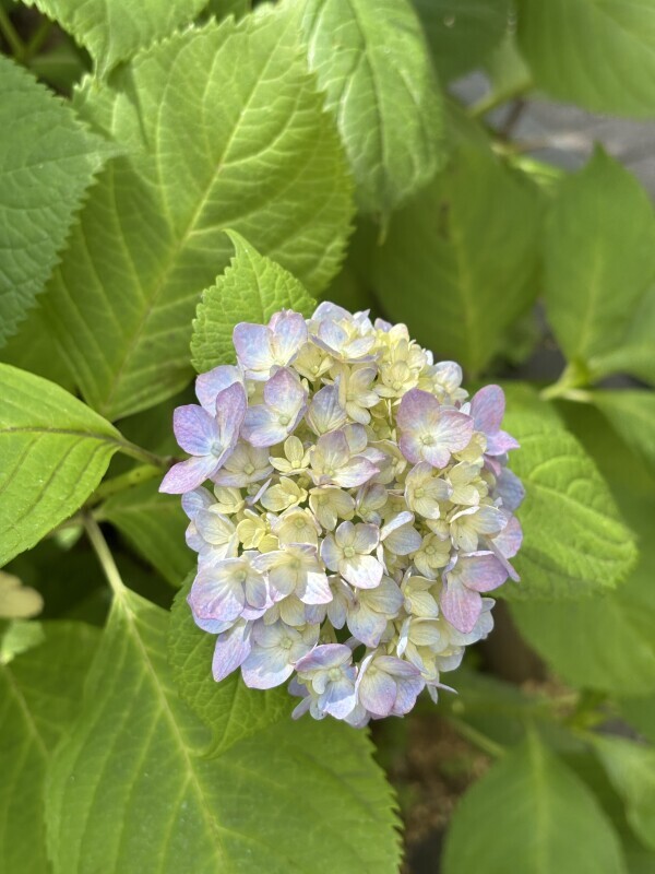 思いやり🍀