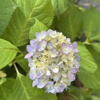 思いやり🍀