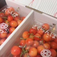 こんばんは♪