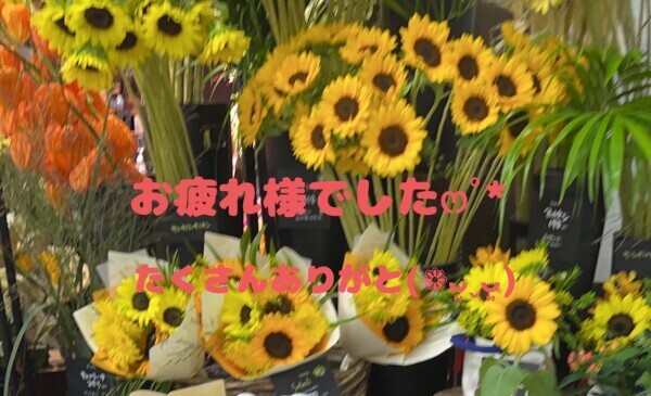 こんばんは😊